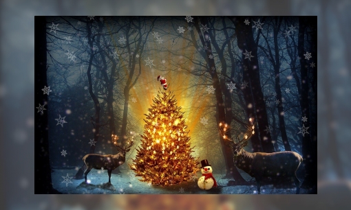 Plaatje Jeugdbieb kerstchallenge: Luchtje scheppen, kerstbomen tellen