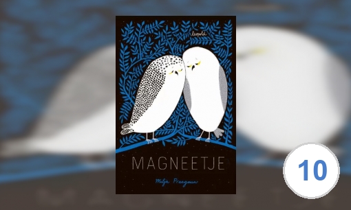 Plaatje Magneetje