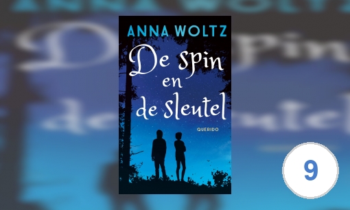 De spin en de sleutel