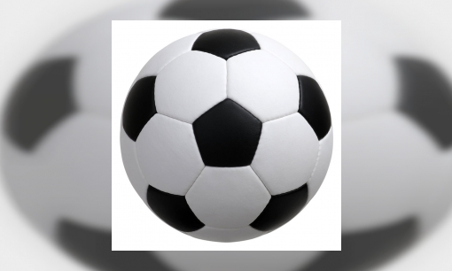 Kwalificatiewedstrijd WK VoetbalFinland - Nederland