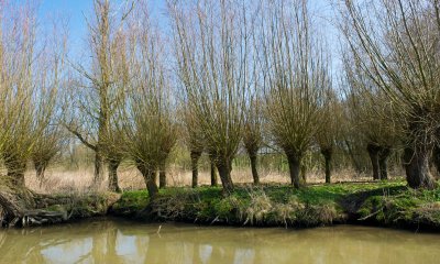 Plaatje Natuurgebieden