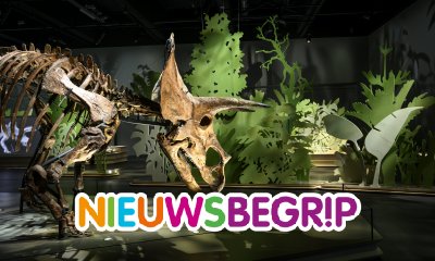 Plaatje Nieuws over dino