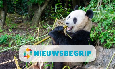 Plaatje Dieren: Dierentuin van de toekomst | groep 5/6