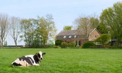 Plaatje Nederlands landschap