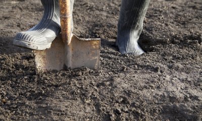 Plaatje Weetjes over landbouw en tuinbouw