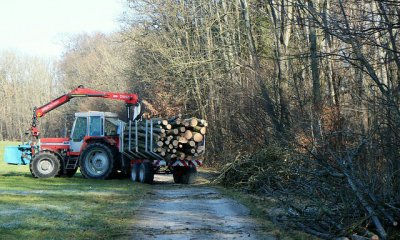 Plaatje Bosbouw