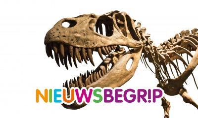 Plaatje T-Rex wordt geveild in New York