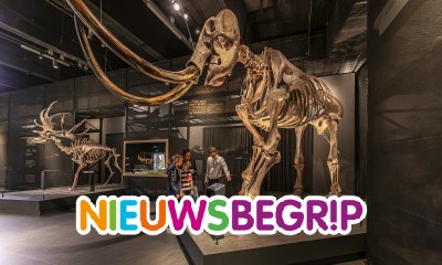 Plaatje Museum Naturalis is museum van het jaar