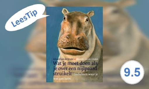 Plaatje Wat je moet doen als je over een nijlpaard struikelt: gedichten waar je wat aan hebt