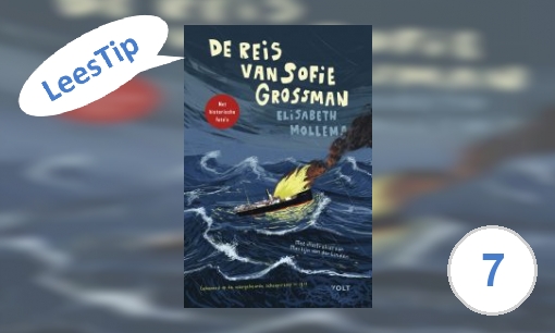 Plaatje De reis van Sofie Grossman