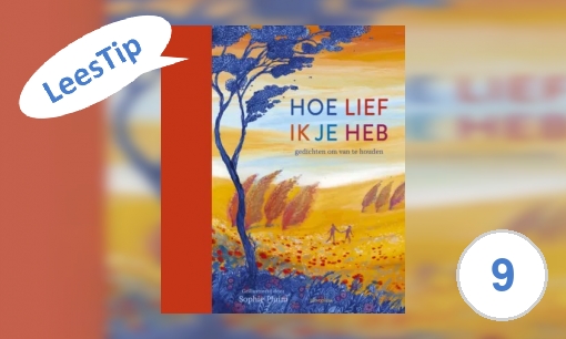 Plaatje Hoe lief ik je heb: gedichten om van te houden