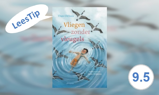 Plaatje Vliegen zonder vleugels