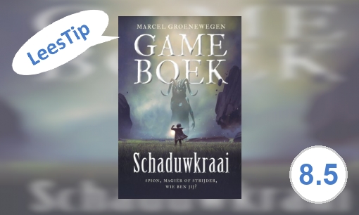 Plaatje Gameboek -  Schaduwkraai : spion, magiër of strijder, wie ben jij?