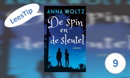 Plaatje De spin en de sleutel